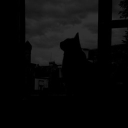 avatar 𝔩𝔲𝔨𝔞𝔰