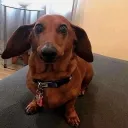 kiwi0922