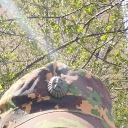 namehave62448's Avatar