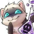 omgferrets