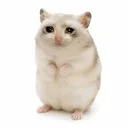 cmsoolar