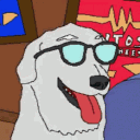 avatar Pooch