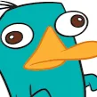 perry_party_possum1