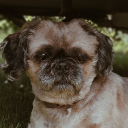 yoyoyorick_2012 member profile picture