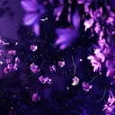 .avenoix