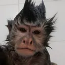zzzk777