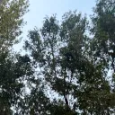 cloudyyyyyyyyyyyyyyyyyyyyyyyyyyy