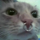 avatar 💙🩵PiercedAngel🩵💙