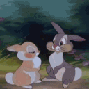 bunnz.x