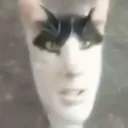 mfnfkfkis
