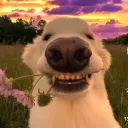 mrnerasyl