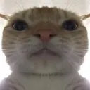 0alitbulb
