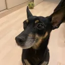 Аватар megamen3488