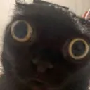 felix0003.