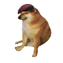 paracheems
