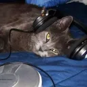 danokee