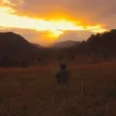 danokee
