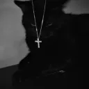 003.9