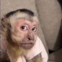 avatar bomboclaat wallahi