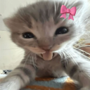 avatar ♡《ᴹ𝙖ԃԃΐ𝚎》♡