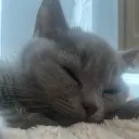 Аватар bar2lut