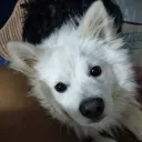 bexyuko