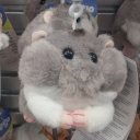 avatar ✧༺✟༻✧Gabriela✧༺✟༻✧