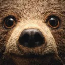 soaky_bear
