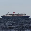 bluedolphin6389