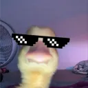 duckyducky_1
