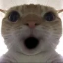 justpumaa