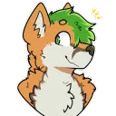 kayjay_thefusky