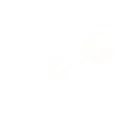 beestudio1111