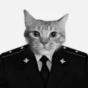 Майор Котость