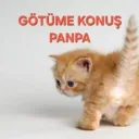 ak_n1