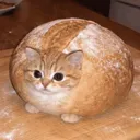 benjibobs12