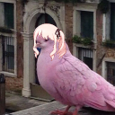 zumi.i.