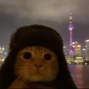 z_psi avatar