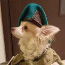 moaviv
