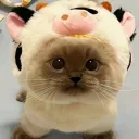 yuzuomg