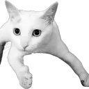 anthorslok
