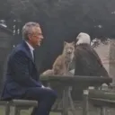 geertrr