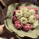 avatar driedwitheredflowers