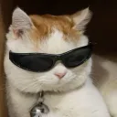justafooladmin