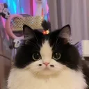 juicyhoki