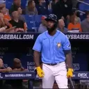 raysin4