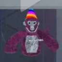 st_ar_y