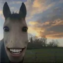 grxvity_.