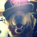 avatar ฟังอิลไม่ชิลได้ไง