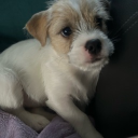 avatar 𝓶𝓲𝓵𝓪